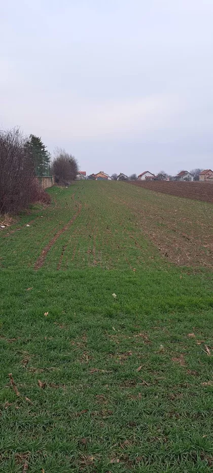 Omladinska | 4zida.rs