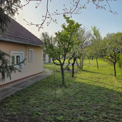 Dr.stevana Tišme | 4zida.rs