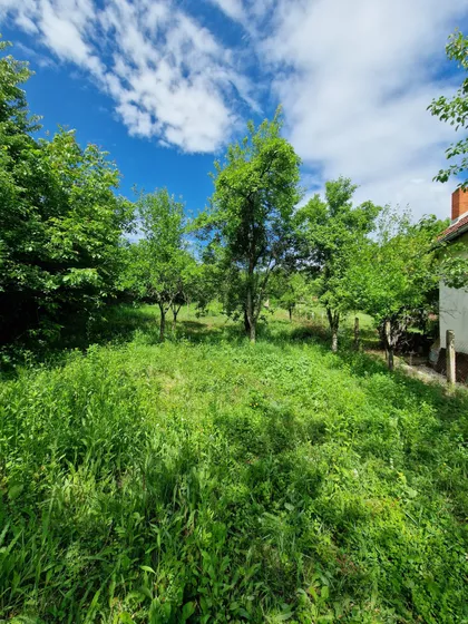 Brane Markovića | 4zida.rs