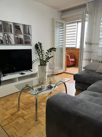 Dr Ivana Ribara | 4zida.rs