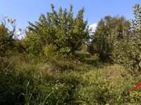 Bocke, Sremska Kamenica, Gradske lokacije, Novi Sad | 4zida.rs