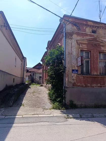 Ace Milojevića | 4zida.rs