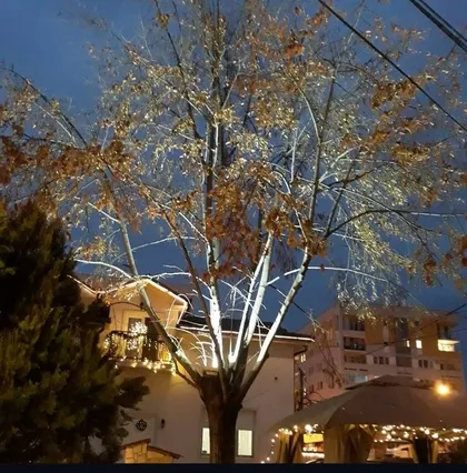 Dimitrija Tucovića | 4zida.rs