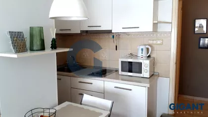 Đure Daničića | 4zida.rs