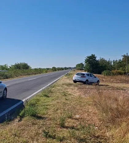 Žarko Zrenjanin | 4zida.rs