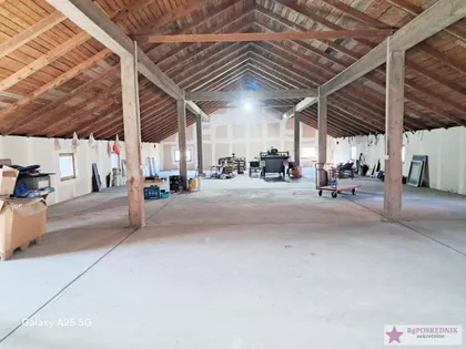 Majora Gavrilovića | 4zida.rs