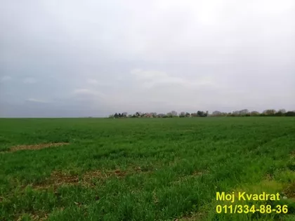 Vasilija Ostroškog | 4zida.rs