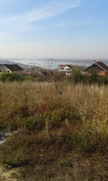 Despotovacka | 4zida.rs