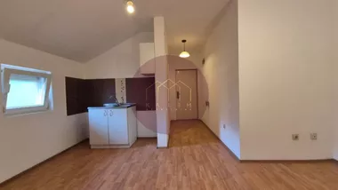 Višnjička Banja