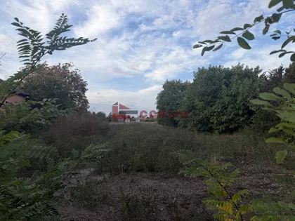 Palić | 4zida.rs