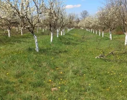 Poljoprivredno zemljište | 4zida