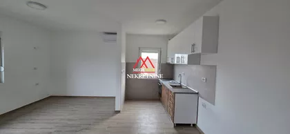 Ive Lole Ribara | 4zida.rs