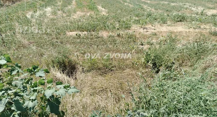 Plac | 4zida