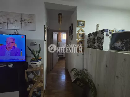 Đorđa Čutukovića | 4zida.rs