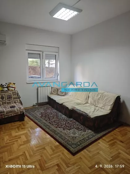 Timočke divizije | 4zida.rs