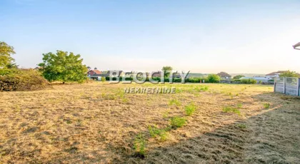 Beogradska | 4zida.rs