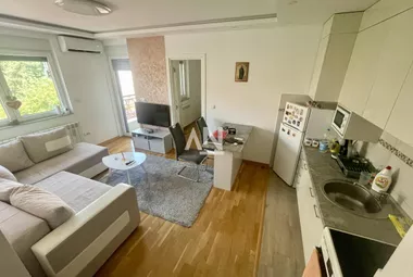 Paje Jovanovića