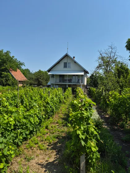 Kralja Petra I | 4zida.rs