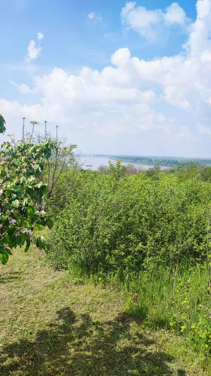 Višnjica | 4zida.rs