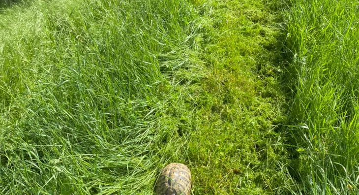 Poljoprivredno zemljište | 4zida