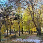 Beograd, Voždovac opština, Konjarnik (Voždovački deo) | 4zida.rs | 4zida.rs