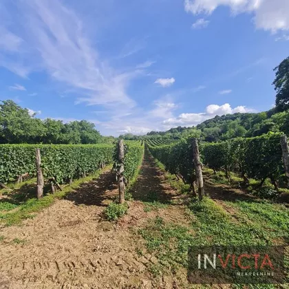 Gradske lokacije | 4zida.rs