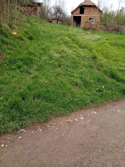 Mala Plana | 4zida.rs
