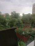 Beograd, Palilula opština, Profesorska Kolonija | 4zida.rs | 4zida.rs