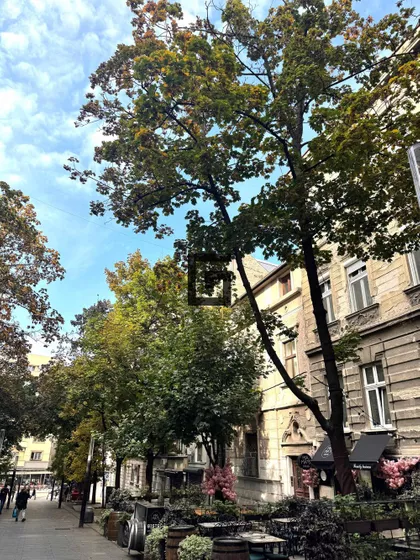 Topličin Venac | 4zida.rs