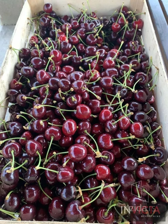 Poljoprivredno zemljište | 4zida