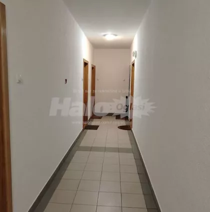 Alekse Popovića | 4zida.rs