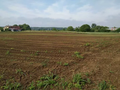 Gradske lokacije | 4zida.rs