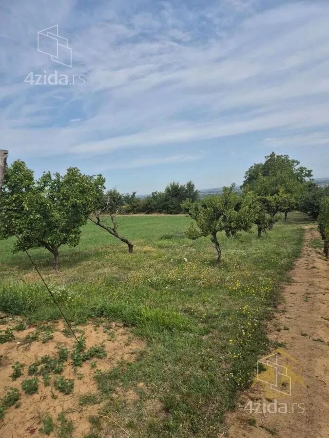 Plac | 4zida