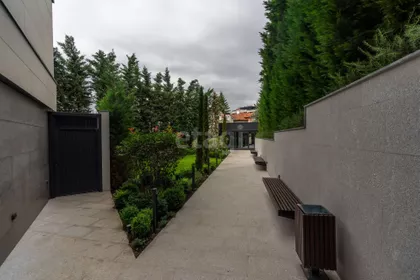 Miće Orlovića | 4zida.rs