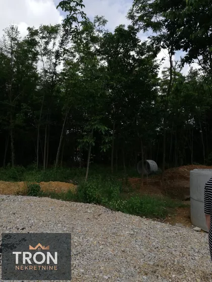 Nemanjina | 4zida.rs