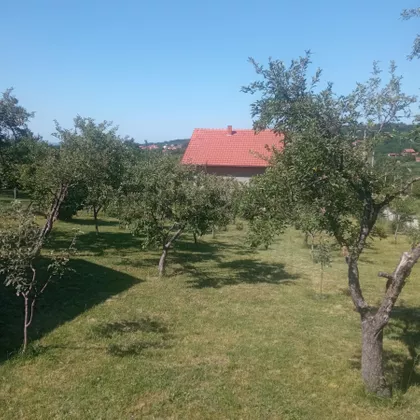 Mlekarska | 4zida.rs