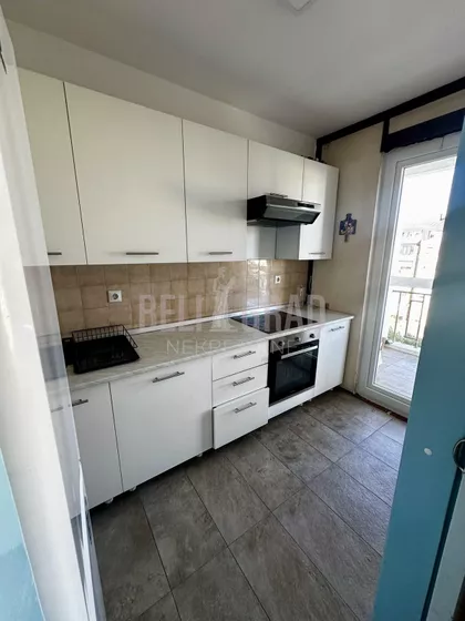 Dr Ivana Ribara | 4zida.rs