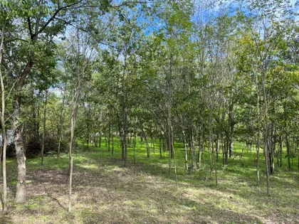 Borova 24 | 4zida.rs