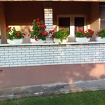 Kraljevo, Okolne lokacije | 4zida.rs | 4zida.rs