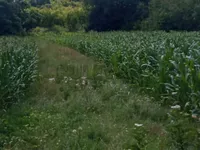 Rudovci, Lazarevac opština, Beograd | 4zida.rs