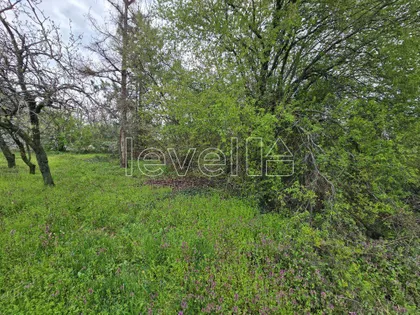 Kraljev Breg | 4zida.rs