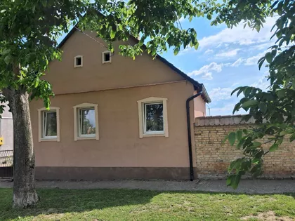 Žarka Zrenjanina | 4zida.rs