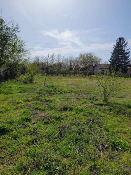 Darinke Radović 3 | 4zida.rs