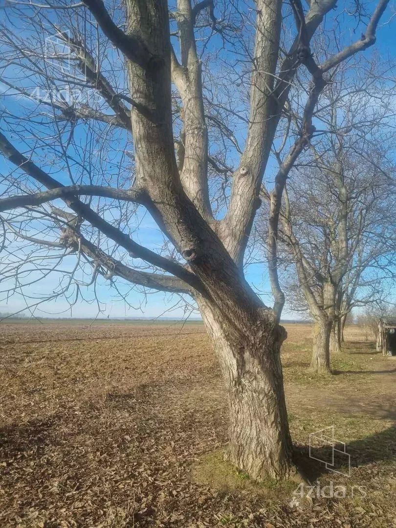 Poljoprivredno zemljište | 4zida