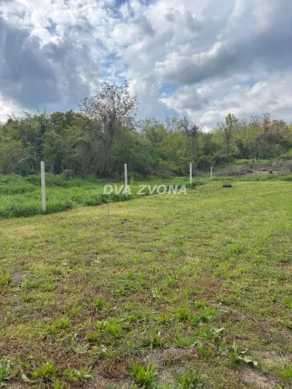 Čortanovci | 4zida.rs