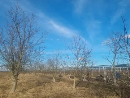 Platičevo | 4zida.rs