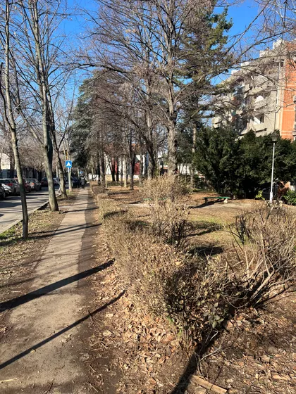 Jove Ilića | 4zida.rs