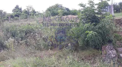 Čortanovci | 4zida.rs