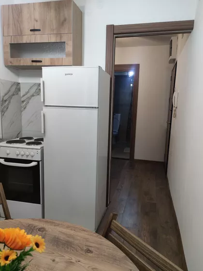 Knjaževačka | 4zida.rs