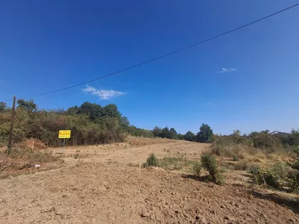 Branislava Damnjanovića Cireta | 4zida.rs